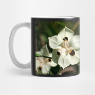 Peacock Lily Mug